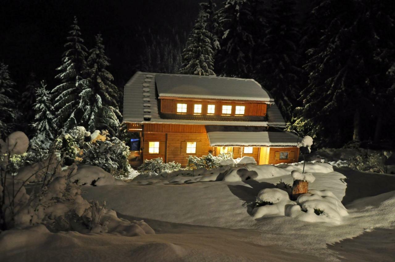 Chalet Styria Donnersbachwald Ngoại thất bức ảnh