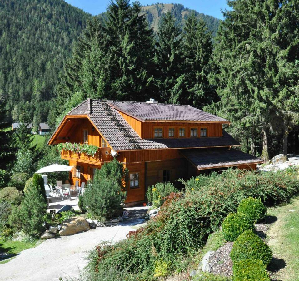 Chalet Styria Donnersbachwald Ngoại thất bức ảnh